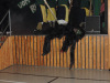 DSCN1084